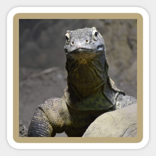 Komodo Dragon Sticker